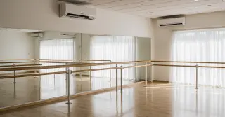 Split 48000 btus Carrier